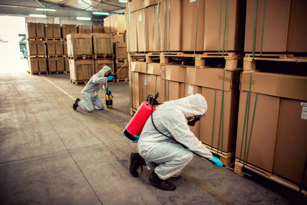 Best Termite Control Services  in North Bethesda, MD