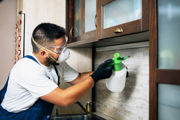 Pest Prevention Services in North Bethesda, MD