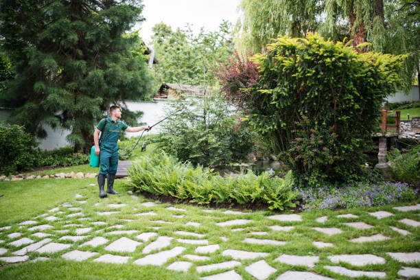 Bird Control in North Bethesda, MD