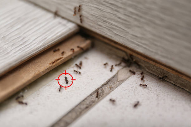 Best Commercial Pest Control Services  in North Bethesda, MD