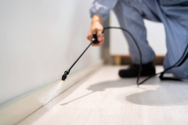Professional Pest Control in North Bethesda, MD