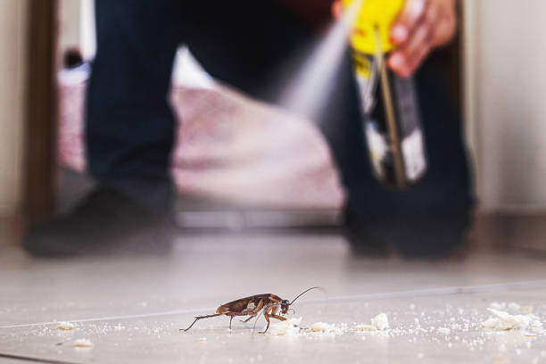 Best Cockroach Control Services  in North Bethesda, MD
