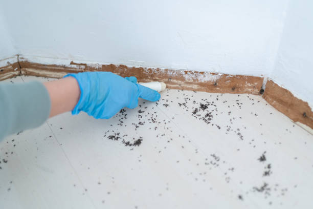 Best Best Pest Control Companies  in North Bethesda, MD