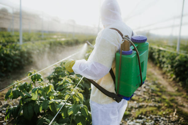 Best Wildlife Control Services  in North Bethesda, MD
